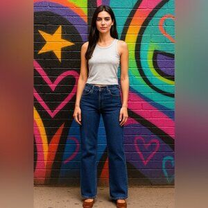 American Eagle Stretch High-Waisted Stovepipe Jeans Size 26 Medium Wash Trendy